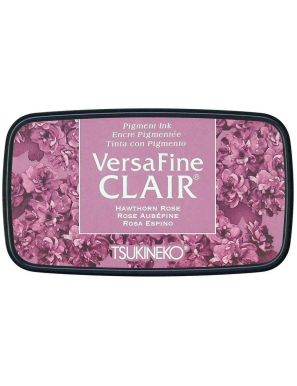 Encre Versafine claire Hawthorn rose