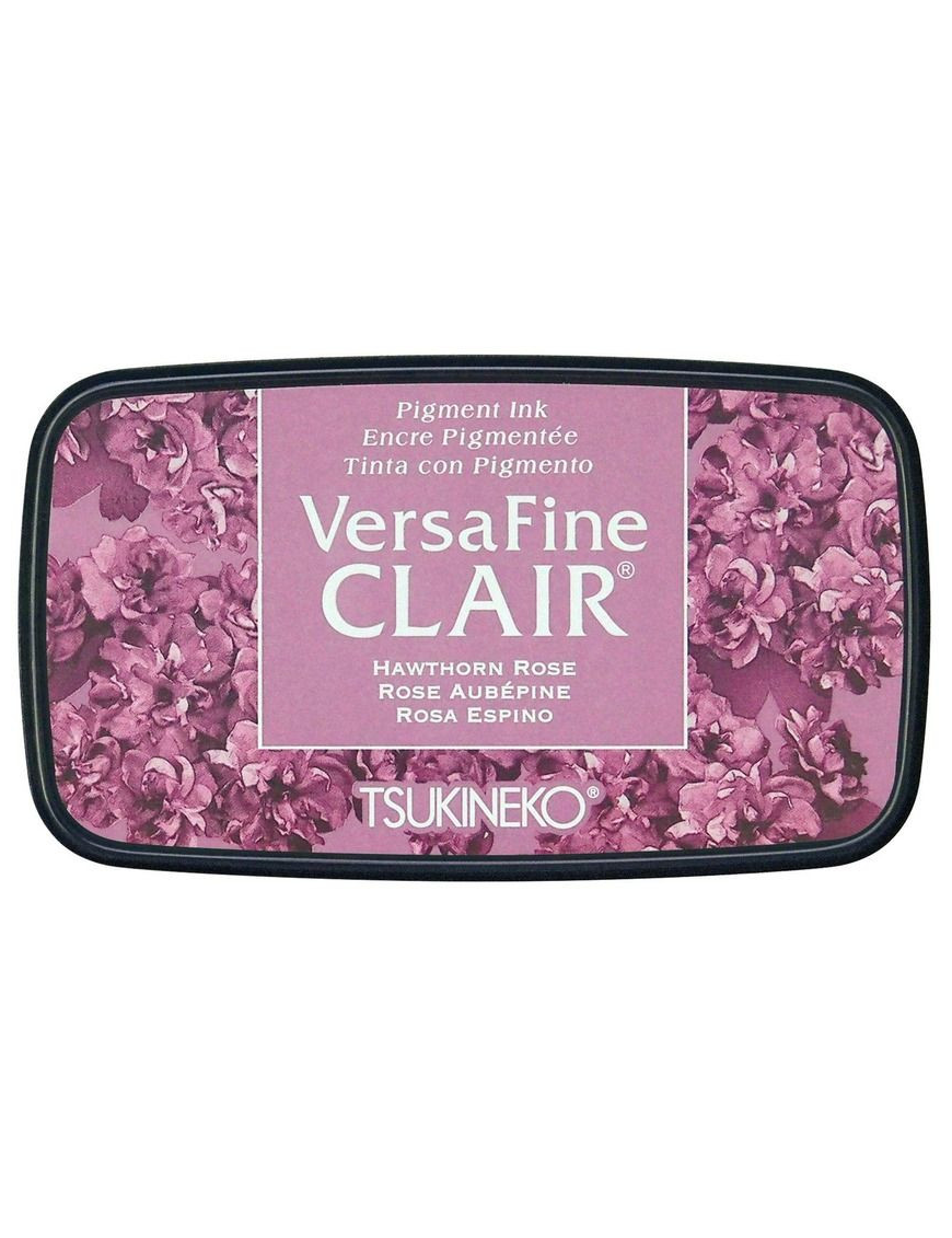 Encre Versafine claire Hawthorn rose