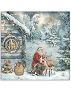 Pochette de 22 feuilles recto Stamperia The owl's house