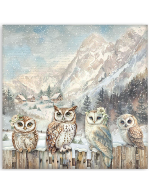 Pochette de 22 feuilles recto Stamperia The owl's house