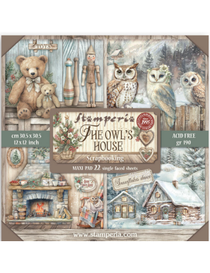 Pochette de 22 feuilles recto Stamperia The owl's house
