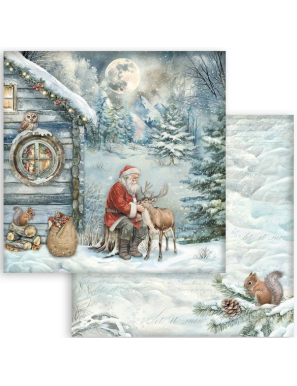 Pochette de 10 feuilles recto verso Stamperia The Owl's House