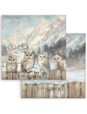 Pochette de 10 feuilles recto verso Stamperia The Owl's House