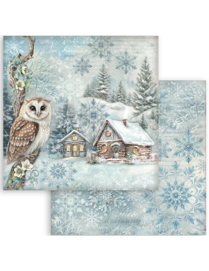 Pochette de 10 feuilles recto verso Stamperia The Owl's House