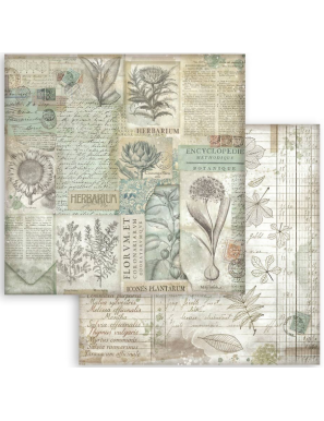 Pochette de 10 feuilles recto verso Herbarium silvae Stamperia
