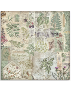 Pochette de 10 feuilles recto verso Herbarium silvae Stamperia