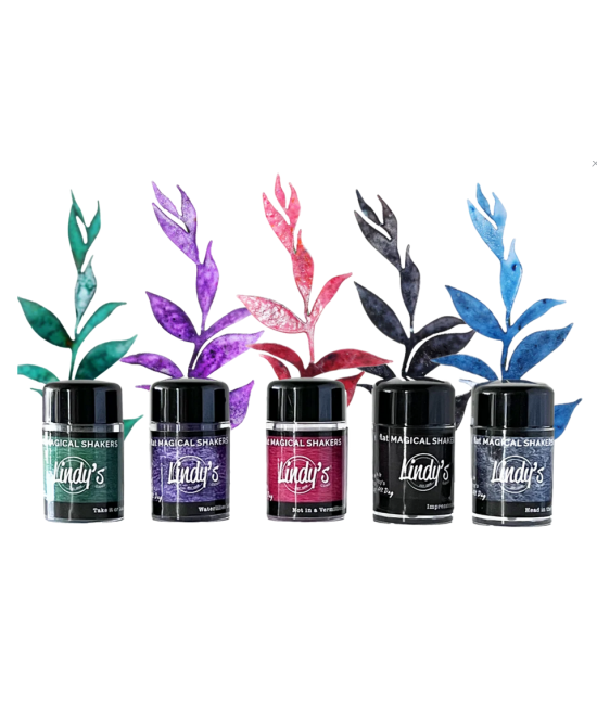 Lot de 5 pigments Monet All Day Flat Magical Shakers - Lindy's
