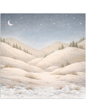 Pochette de 22 feuilles recto Stamperia Silent night