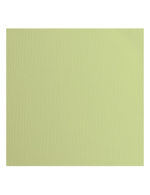 Papier cartonné Vaessen Creative 216g texturé Anise 30,5x30,5cm