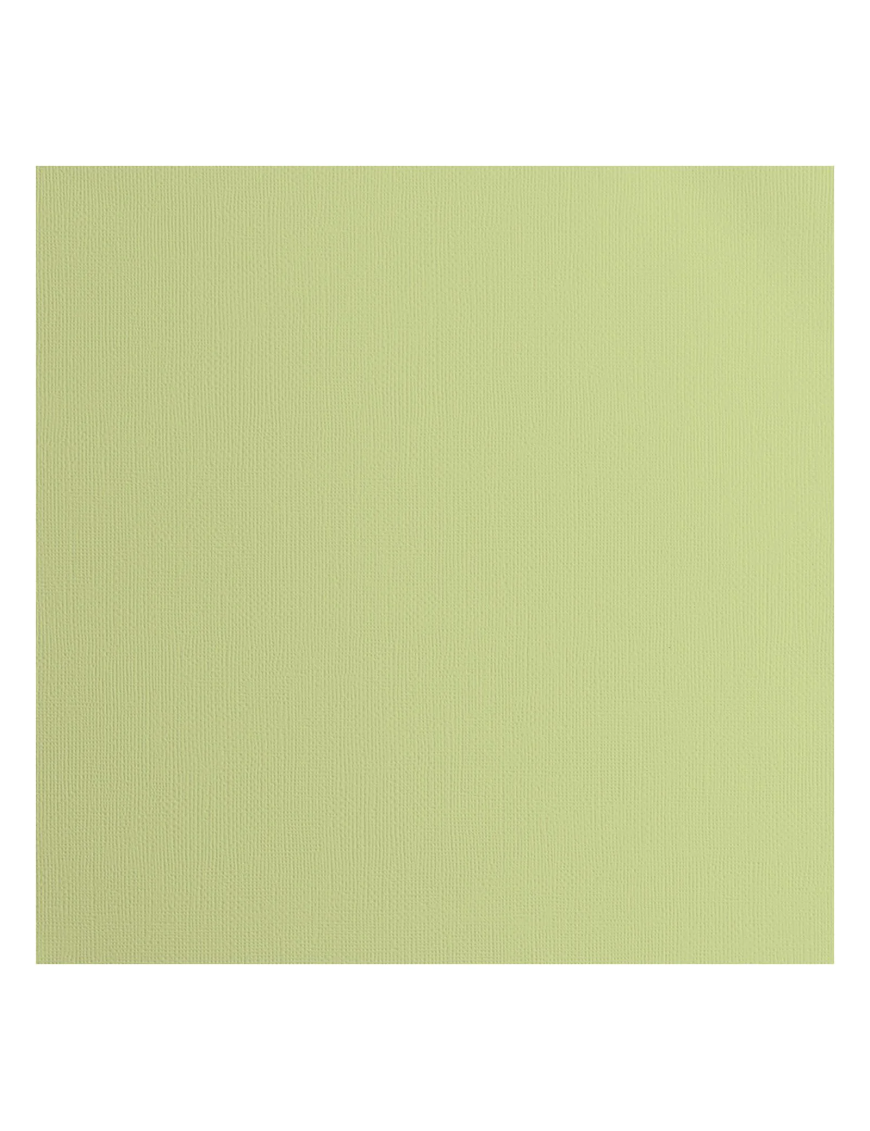 Papier cartonné Vaessen Creative 216g texturé Anise 30,5x30,5cm