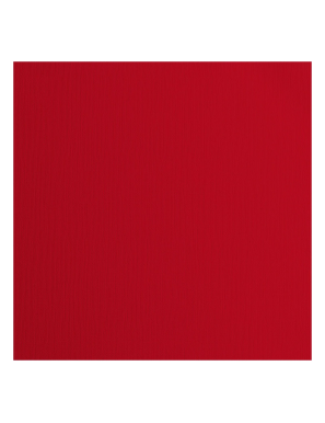 Papier cartonné Vaessen Creative 216g texturé Poppy rouge 30,5x30,5cm