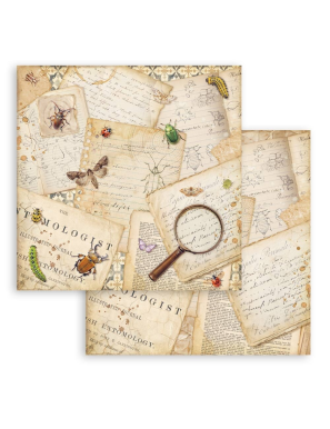 Stamperia All Around – Papier Scrapbooking 30,5 x 30,5 cm