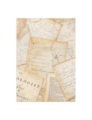 Stamperia All Around Junk Journal – SBJK20