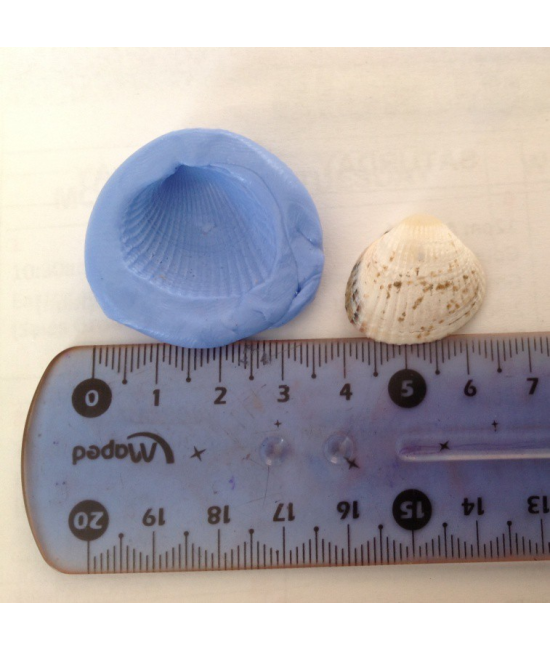 moule en silicone coquillage