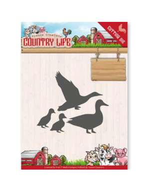 Dies oies et canards