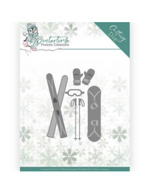 Dies vacances au ski