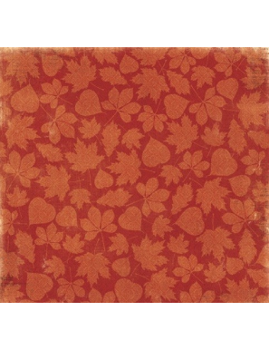 Papier recto verso Enchanted harvest Bo Bunny