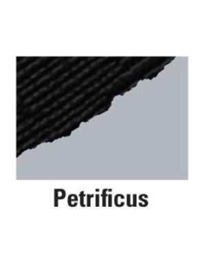 Feuille 30,5cm x 30,5cm COLORCORE BLACKMAGIC Couleur:Petrificus