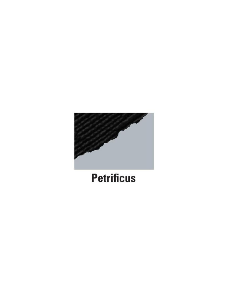 Feuille 30,5cm x 30,5cm COLORCORE BLACKMAGIC Couleur:Petrificus