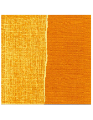 Feuille COLORCORE Core'dinations couleurs au choix 30,5cm x 30,5cm Couleur:Rich amber
