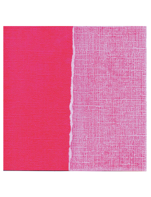 Feuille COLORCORE Core'dinations couleurs au choix 30,5cm x 30,5cm Couleur:Love potion