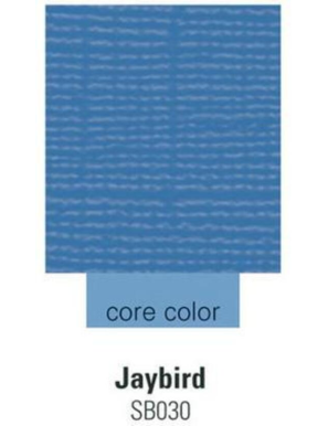 Feuille COLORCORE Core'dinations 30,5cm x 30,5cm Jaybird