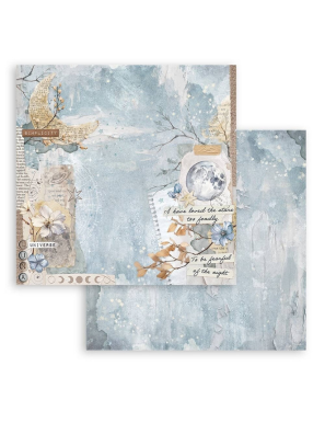 Pochette de 10 feuilles recto verso Stamperia Secret diary