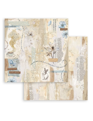 Pochette de 10 feuilles recto verso Stamperia Secret diary