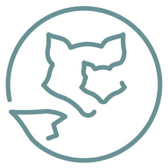 HA PI Little fox